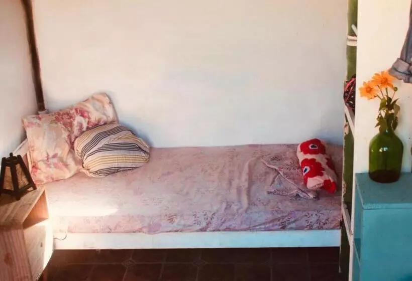 Praia Do Rosa Hostel