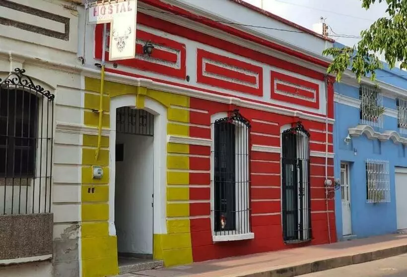 Retkeilymaja Perla Mazatlan