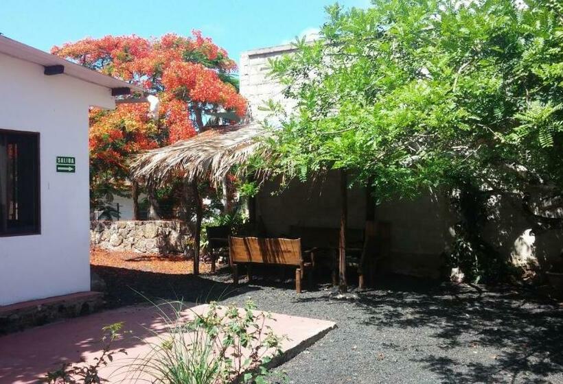 Hostel Hostal Vista Al Mar