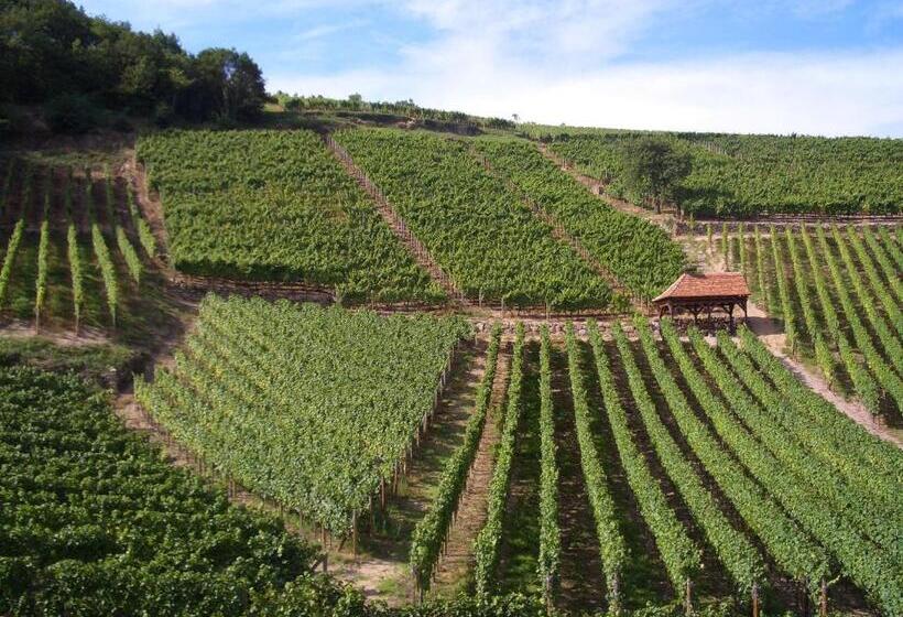 تختخواب و صبحانه Chambres D'hôtes Ruhlmann