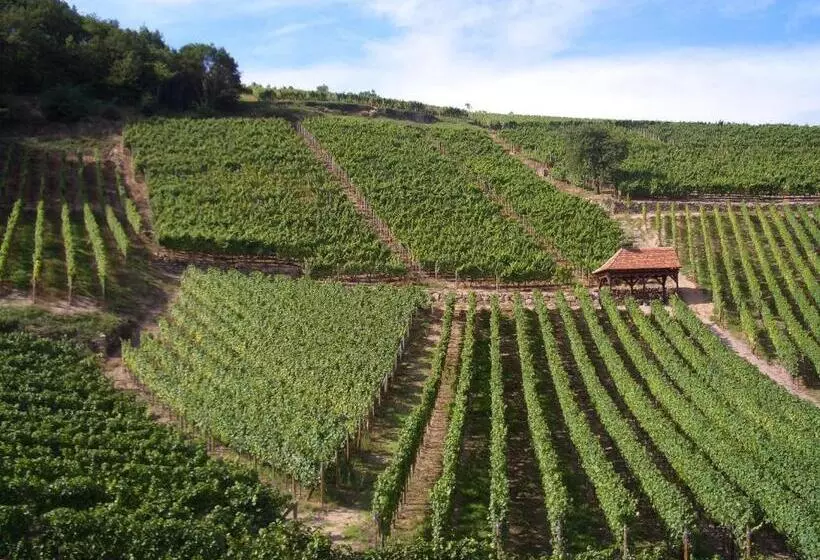 ベッドアンドブレックファースト Chambres D'hôtes Ruhlmann