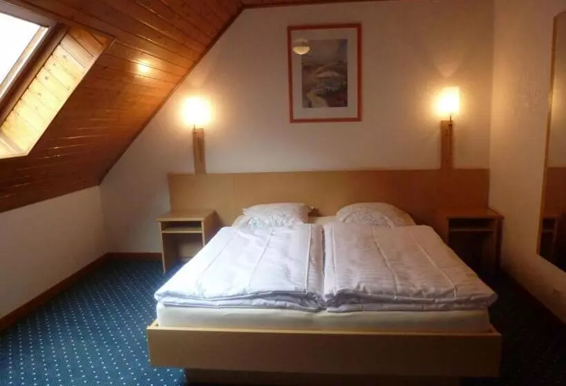 ベッドアンドブレックファースト Chambres D'hôtes Ruhlmann