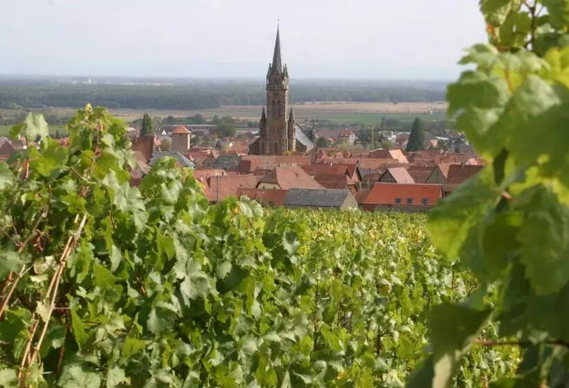 ベッドアンドブレックファースト Chambres D'hôtes Ruhlmann