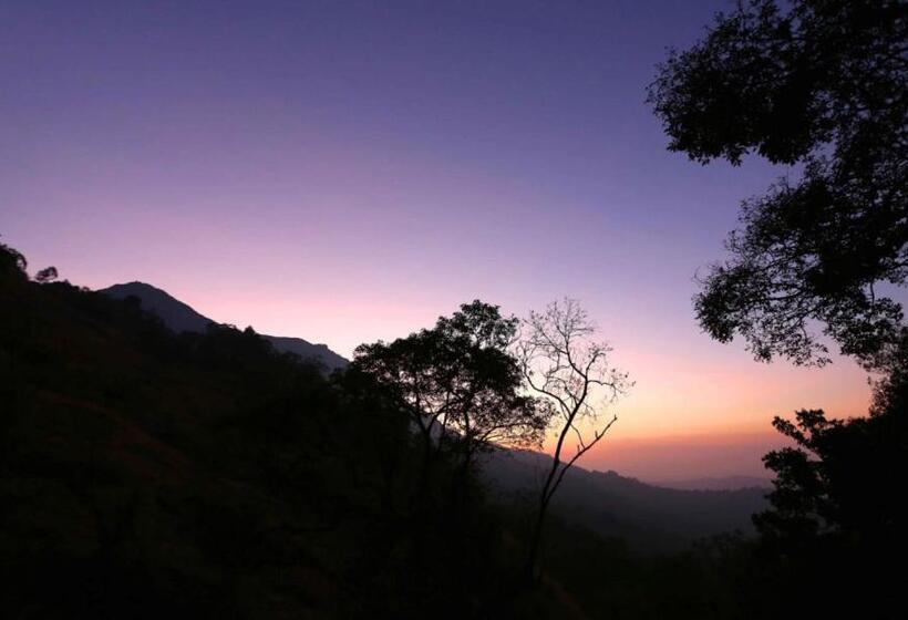 Bed and Breakfast Eagle Mountain Resort Munnar