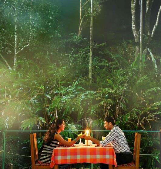 Bed and Breakfast Eagle Mountain Resort Munnar