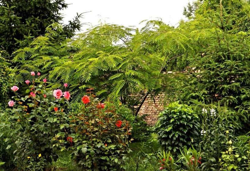 Bed and Breakfast Mátyás Panzió