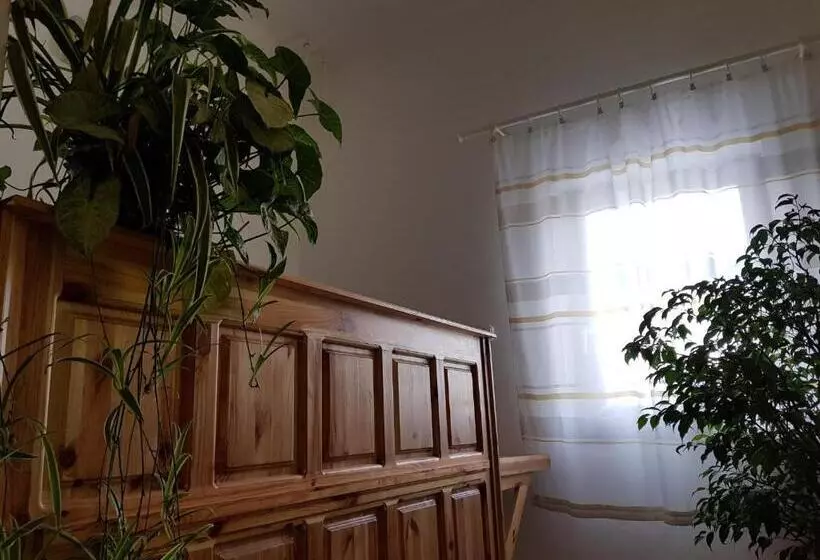 تختخواب و صبحانه Mátyás Panzió