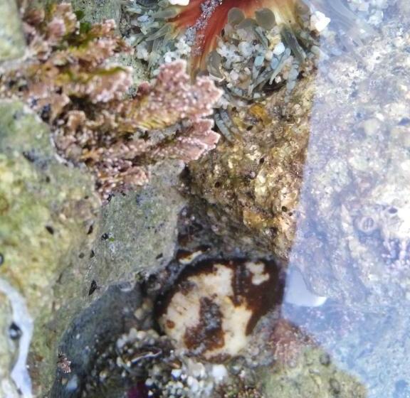 민박 Pakington Ensuite Homestay