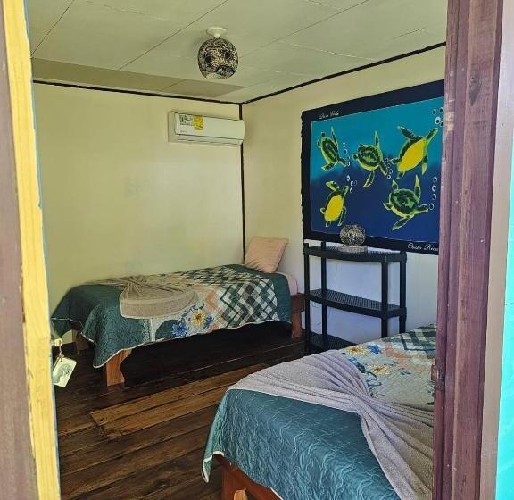 هتل Cabinas Tortuguero