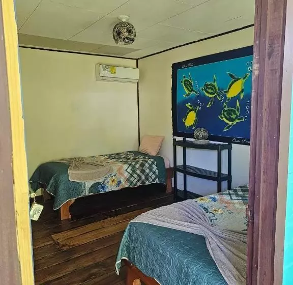 Hotelli Cabinas Tortuguero