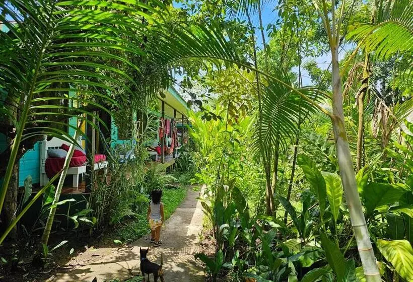 Hotelli Cabinas Tortuguero