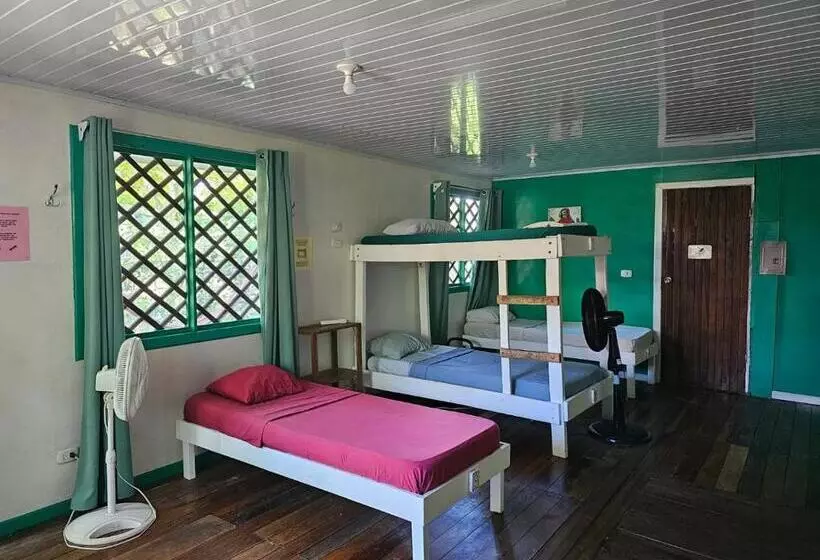 Hotelli Cabinas Tortuguero