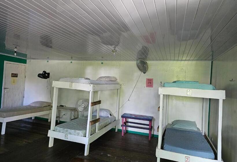 هتل Cabinas Tortuguero