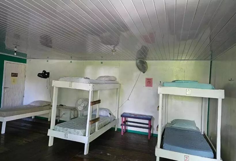 Hotelli Cabinas Tortuguero