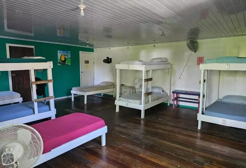 Hotelli Cabinas Tortuguero