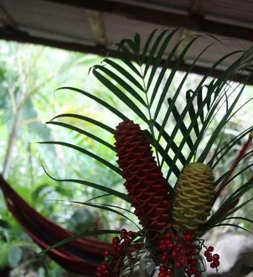 Hotelli Cabinas Tortuguero