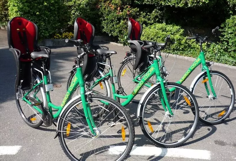 فندق Albergo Losone