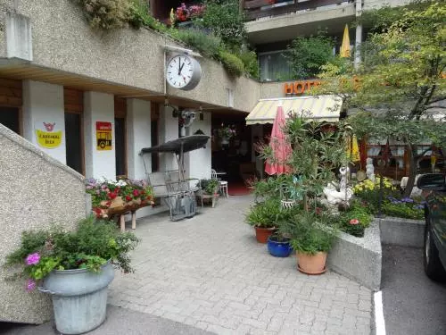 Отель Alpen Résidence