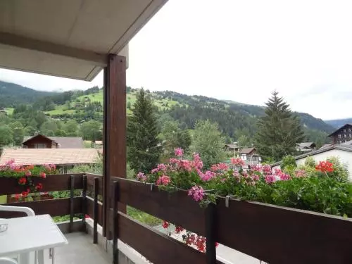 Отель Alpen Résidence