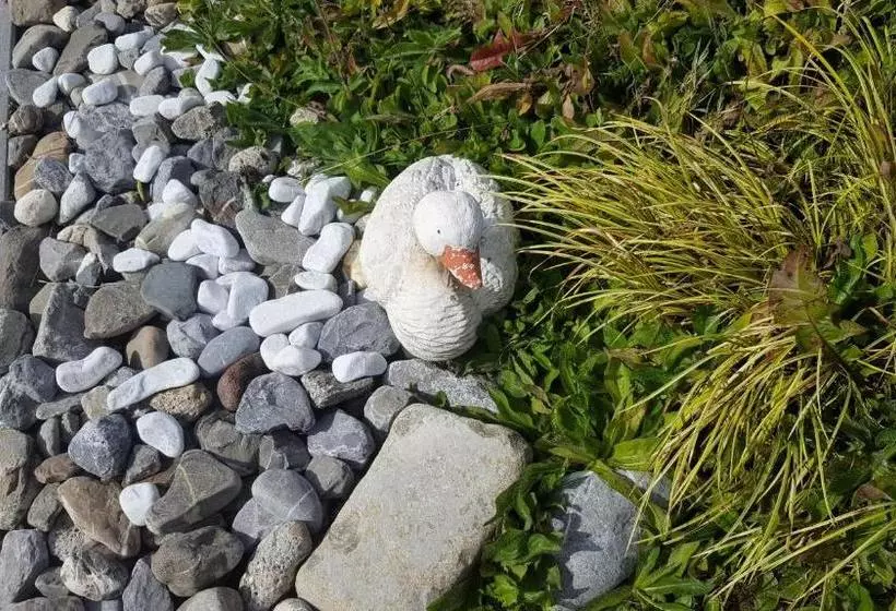 Отель Alpen Résidence