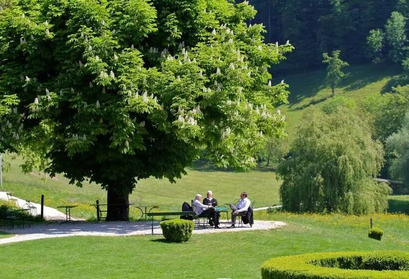 Отель Bad Schauenburg