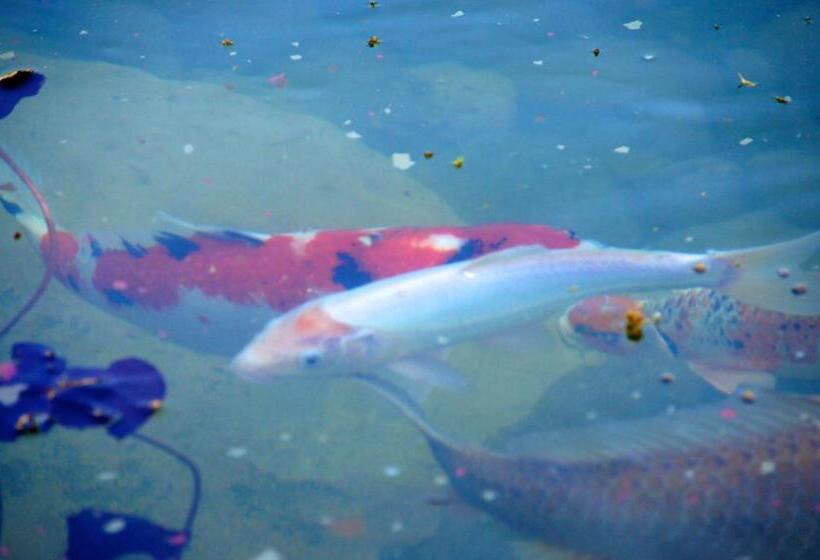 Hotel Bad Schauenburg