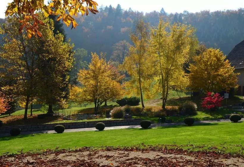 Отель Bad Schauenburg