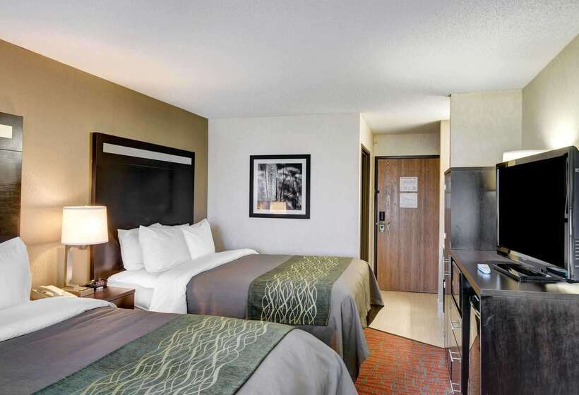 فندق Comfort Inn