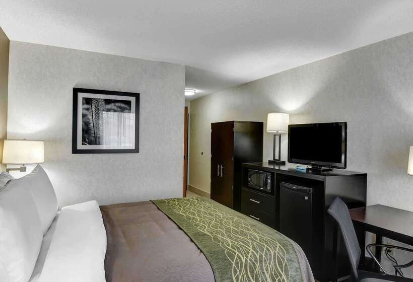 فندق Comfort Inn