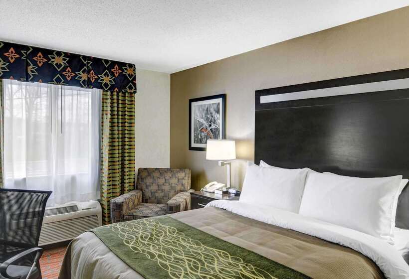 فندق Comfort Inn