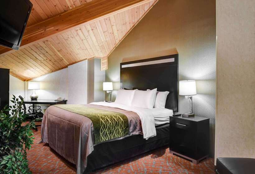 فندق Comfort Inn