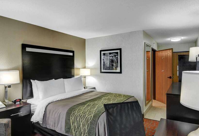 فندق Comfort Inn