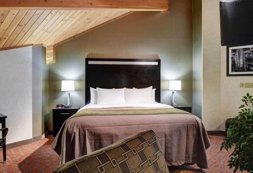 فندق Comfort Inn