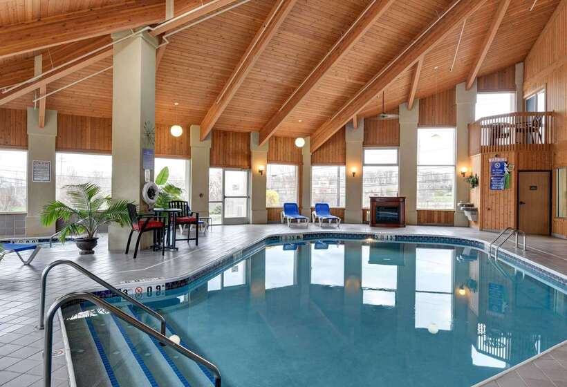 فندق Comfort Inn