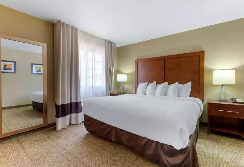 בית מלון כפרי Spark By Hilton Glendale Phoenix North