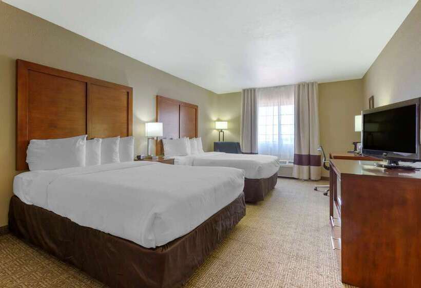 Hotel Spark By Hilton Glendale Phoenix North