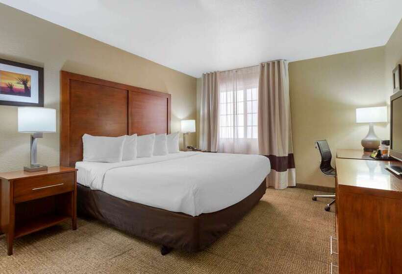 Hotel Spark By Hilton Glendale Phoenix North