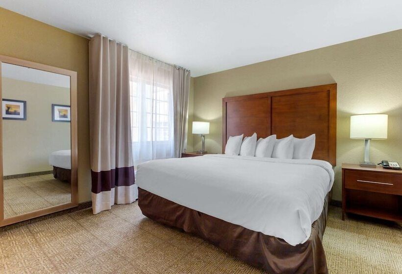 Hotel Spark By Hilton Glendale Phoenix North