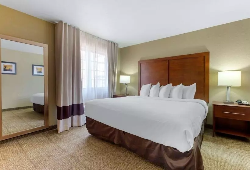 בית מלון כפרי Spark By Hilton Glendale Phoenix North