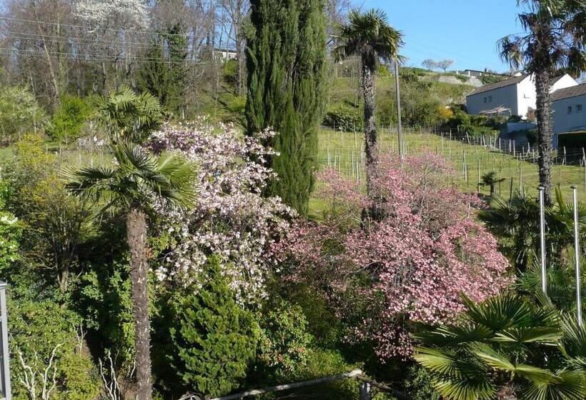 Hotelli Osteria Garni Americana