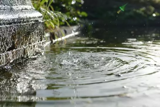 Отель Pension Alpenrosli