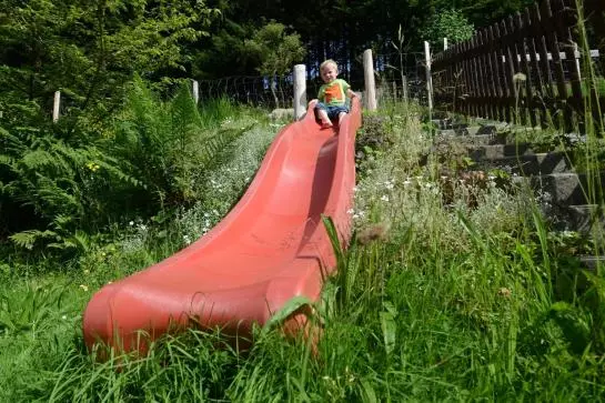 Отель Pension Alpenrosli