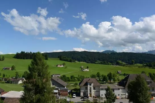 Отель Pension Alpenrosli
