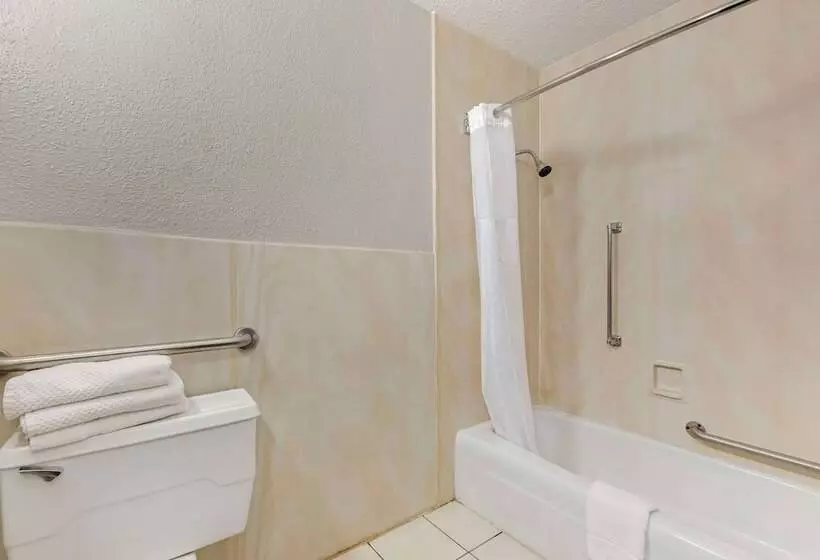 ホテル Quality Inn & Suites