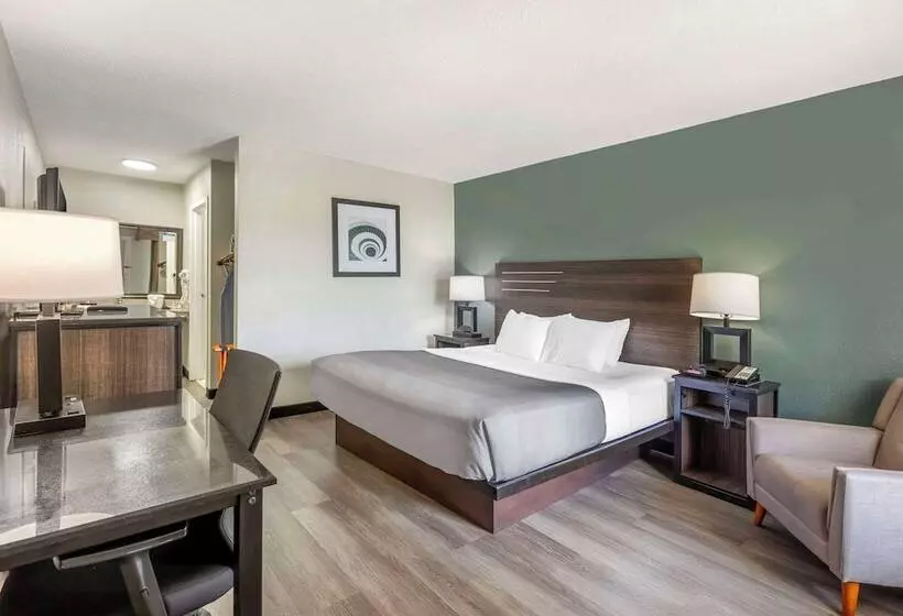 ホテル Quality Inn & Suites