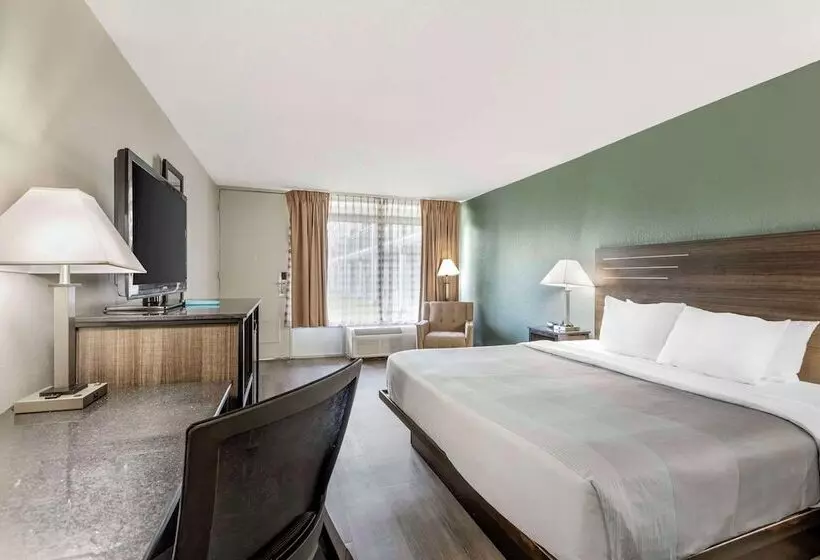 ホテル Quality Inn & Suites