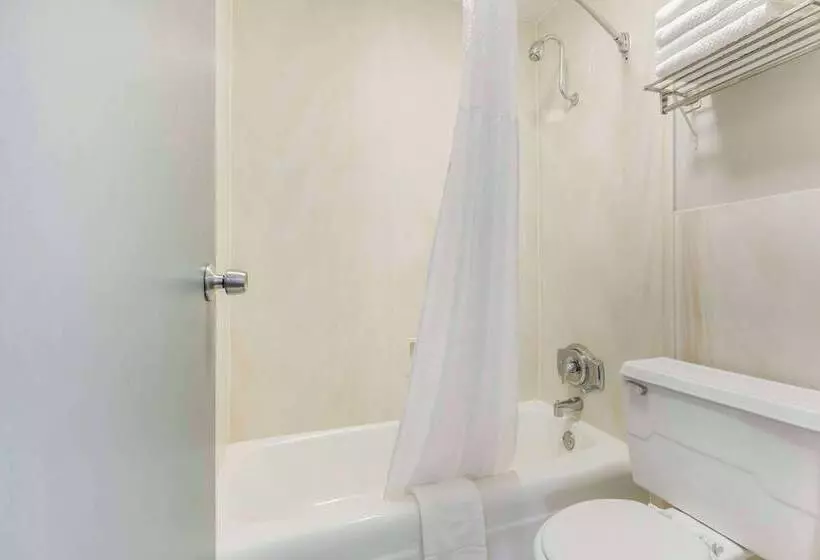 ホテル Quality Inn & Suites