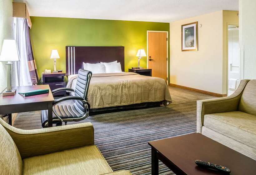 酒店 Quality Inn & Suites
