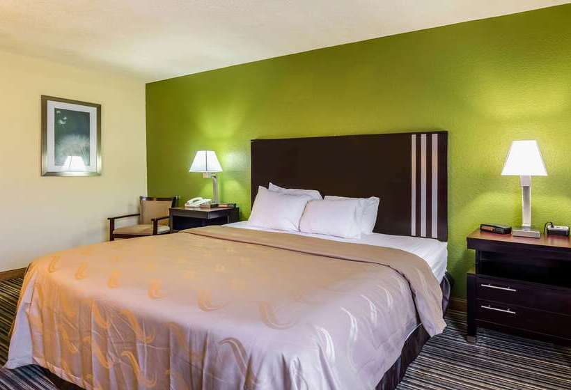 酒店 Quality Inn & Suites