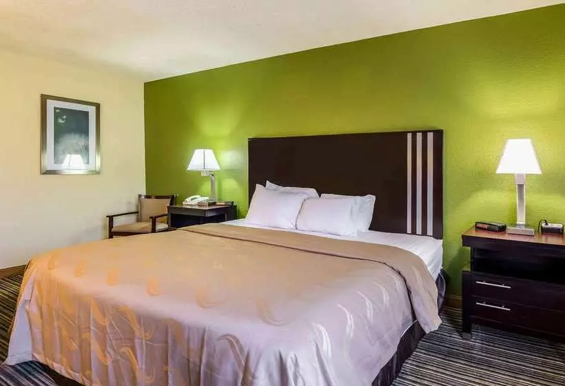 Hotel Quality Inn & Suites